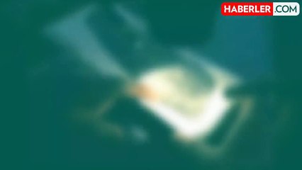 Çin'de yaklaşık 150 milyon yıllık kuş fosili gün yüzüne çıktı