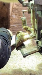 Cow milk videos | Animals