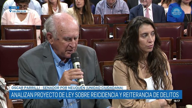 Parrilli reclamó la presencia de Cúneo Libarona en el Senado para fundamentar los proyectos de Reiterancia y Juicio en Ausencia