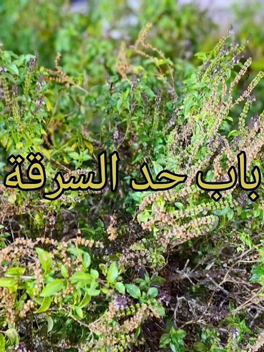 بلوغ المرام ( 101 )