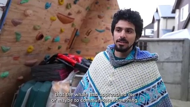 Watch: Kayaker swallowed whole by humpback whale off Chile coast