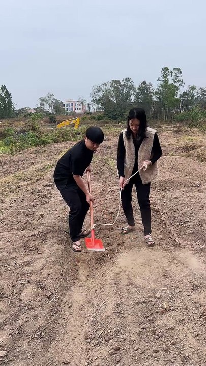 6Bd8uD