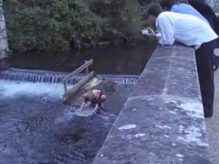 Enterrement de vie de garcon Jam : la cascade