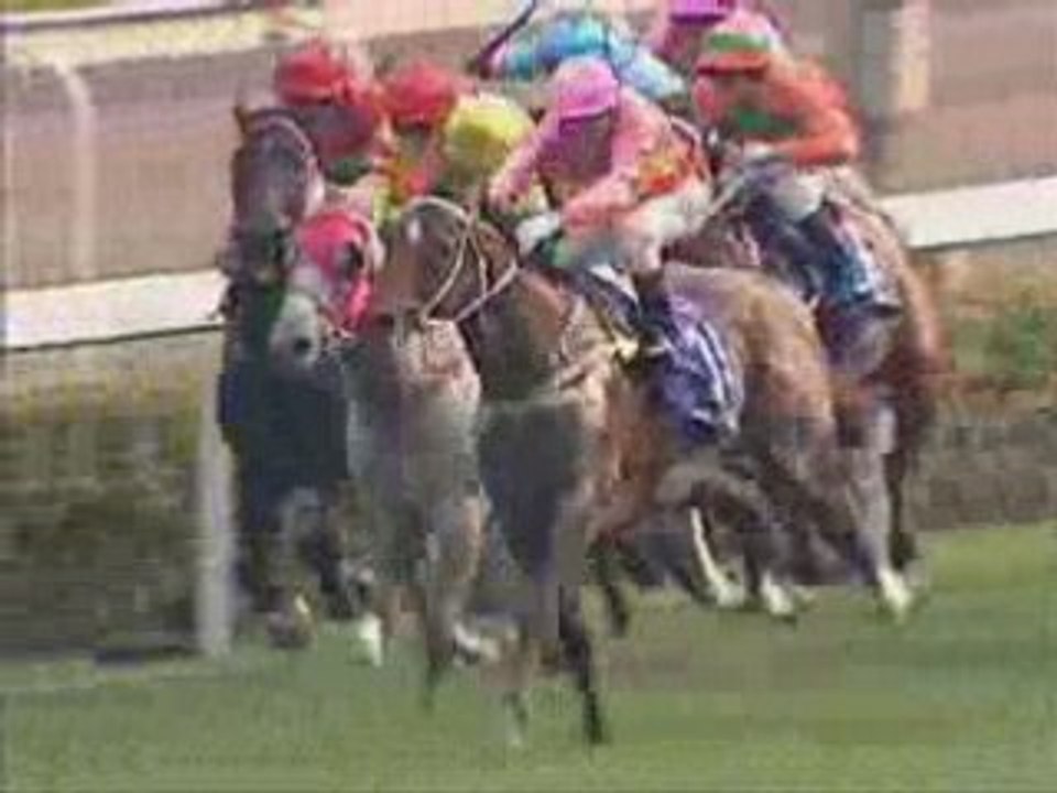 Hong Kong Derby (Gr1) 160308 (Helene Mascot)