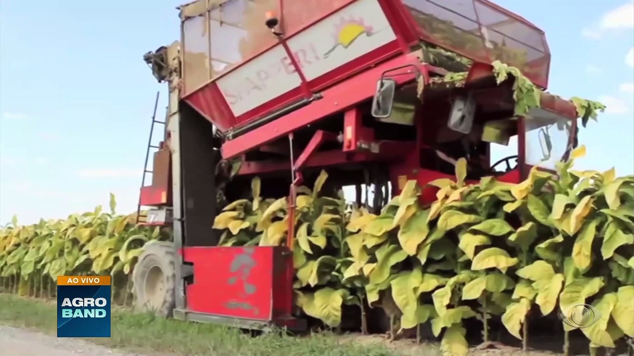 Giro Brasil: exportações de tabaco, queijos, peso do tambaqui