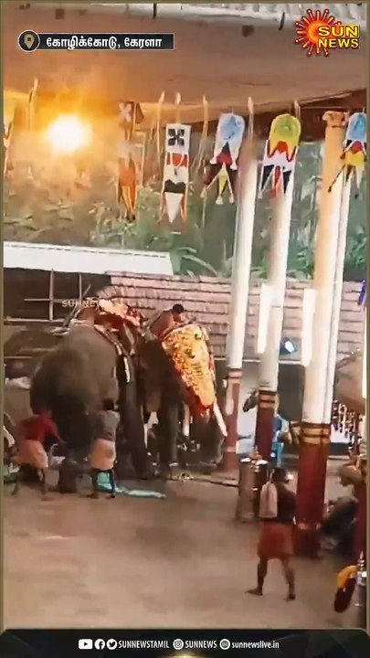 Clash between Two elephants during festival in Kerala