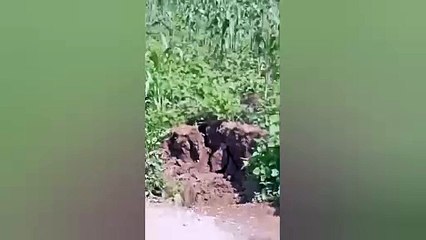 ¿Se hunde Cocotitlán? Localizan nuevas grietas (VIDEO)