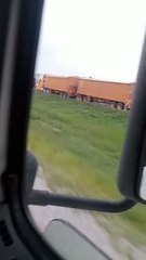 Muere varón en accidente entre 3 tráileres y un auto en la Matehuala - Saltillo