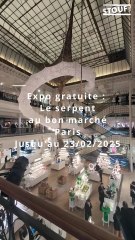 Expo le serpent de Ernesto Neto au bon marché à #paris