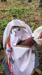 Light it up! Essential fire-starting tricks for campers!