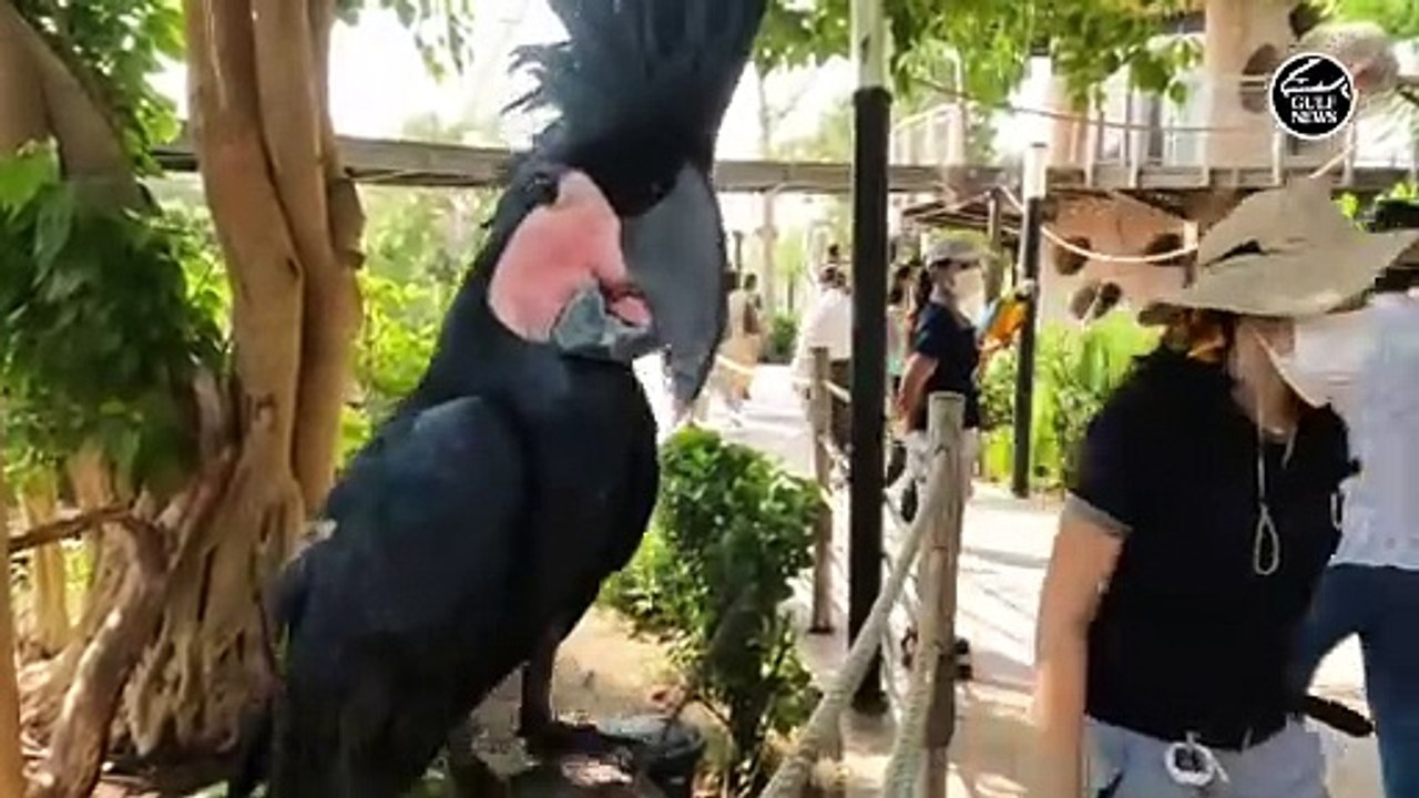 Dubai Safari Park all set to open to visitors with over 2,600 animals of 250 species