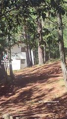 Captan a oso en cabaña de Santiago; destroza ventana