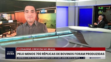 Clonagens crescem no Brasil: pelo menos 700 réplicas de bovinos foram produzidas
