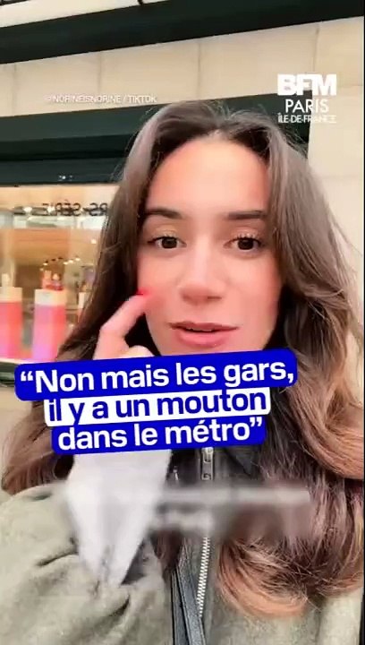 Un mouton en laisse et en couche-culotte a été aperçu dans le métro parisien