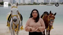 Ride horses in Dubai on Pearl Jumeirah's pristine beach