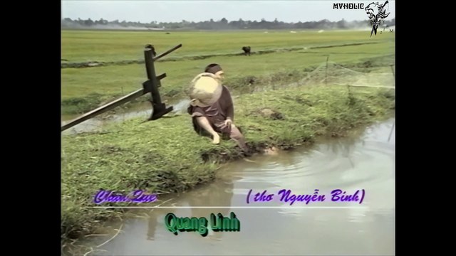 Quang Linh - Chân quê [OFFICIAL MV] [4K HD REMASTERED]