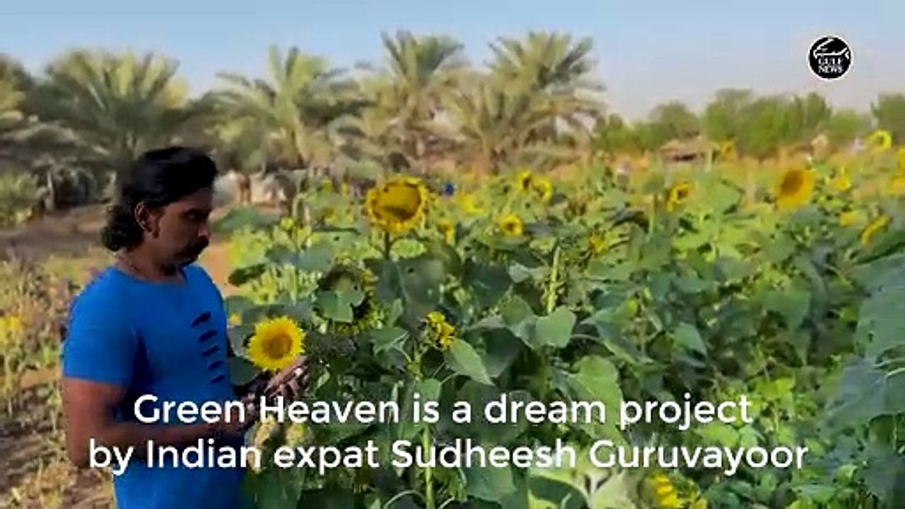 Indian expat replicates Kerala village in Sharjah with rice field, thatched hut, well and waterfall