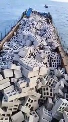 Dropping blocks in the oceans to help marine life