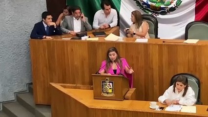 Piden diputadas al PRI y PAN respetar la ley para asignar diputado