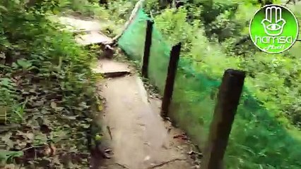 Subimos al Morro do MACACO en BOMBINHAS...LA MEJOR VISTA!
