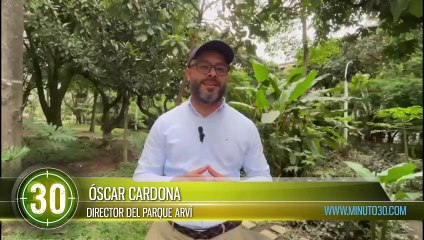 Hallan nuevos sitios arqueológicos que desentierran la historia en el Parque Arví