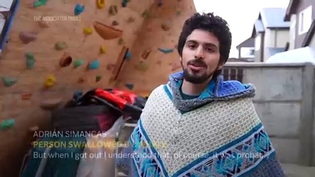 Humpback whale briefly swallows kayaker in Chilean Patagonia