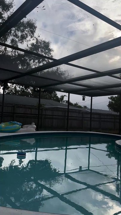 Just beautiful day Shawn living life at 50 welcome to my backyard Thursday, February 13, 2025 82° very hot Here in Dunedin, Florida next to Clearwater have a great night  much love