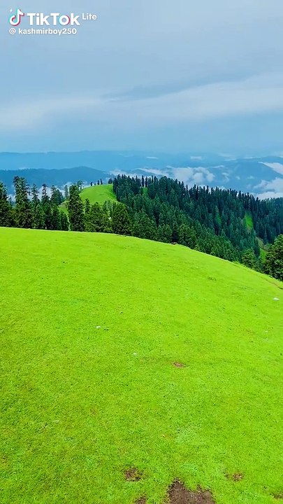 Kashmir