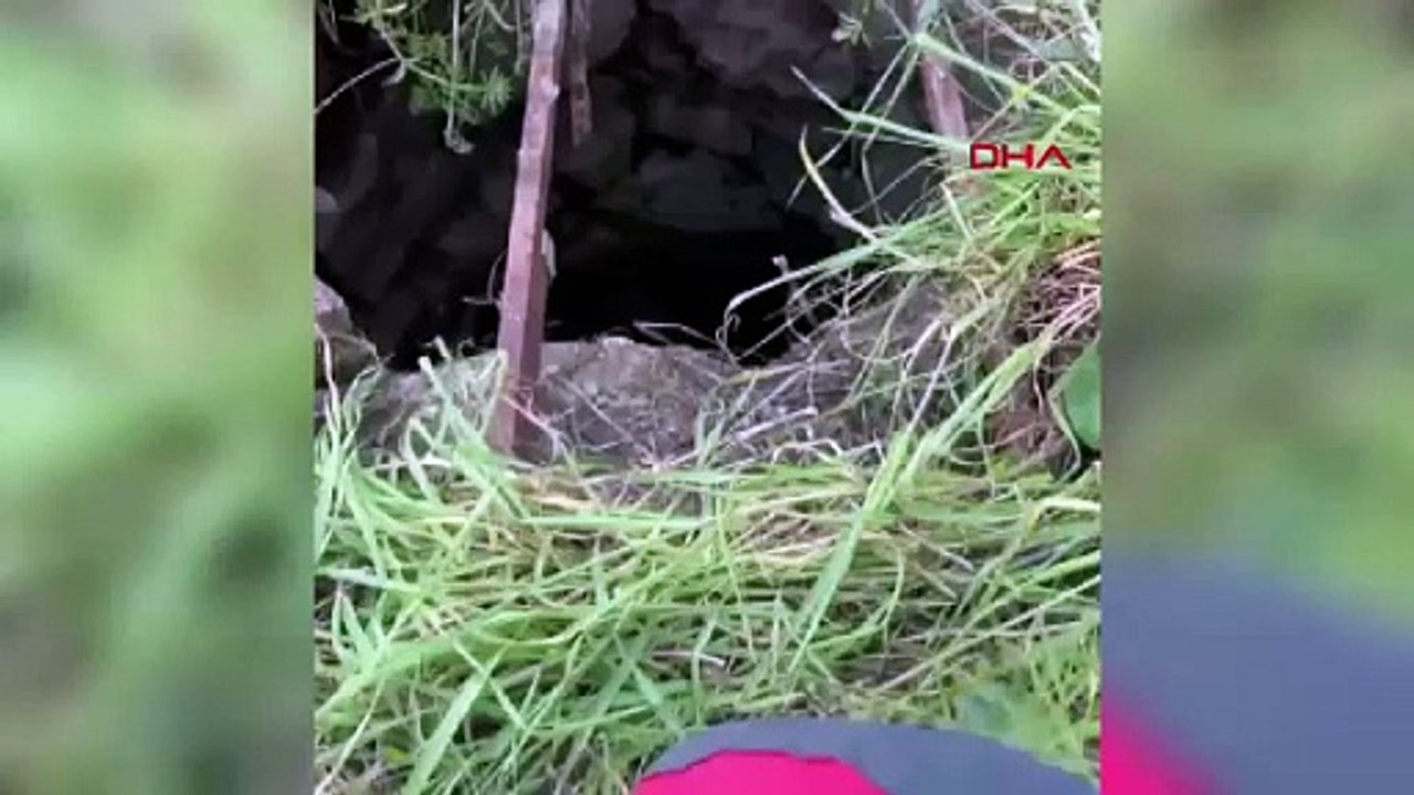 Kuyuya düşen keçiyi itfaiye kurtardı