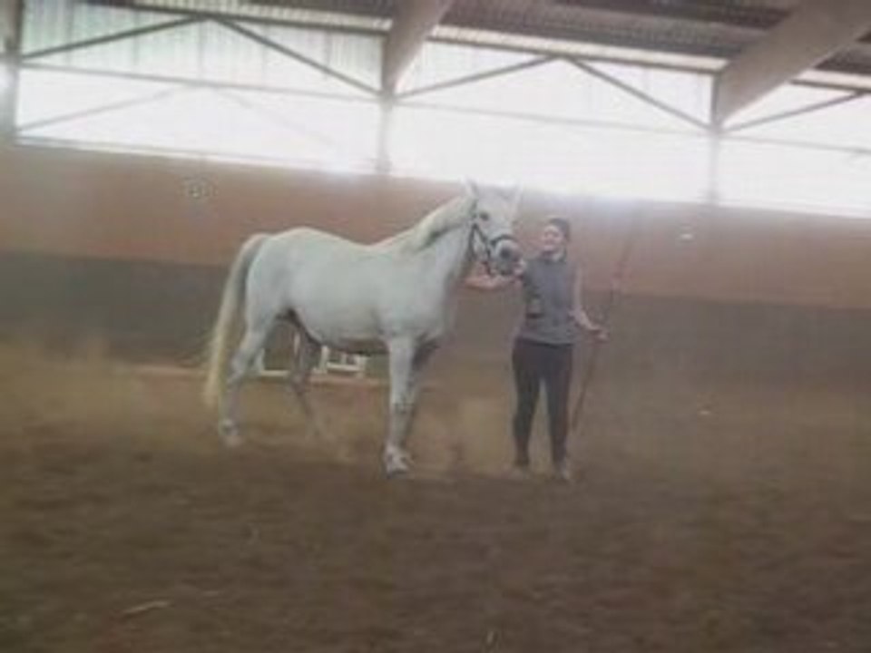 Galop_0001