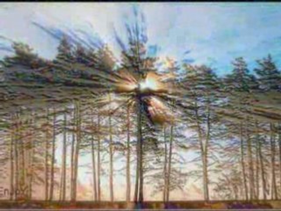 LES COULEURS D'ENJOY