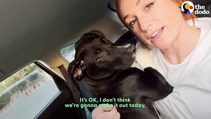 Woman Rescues 3 Puppies Just In Time