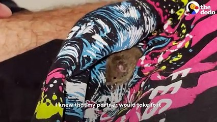 Couple Rescues A Tiny Mouse From The Grocery Store