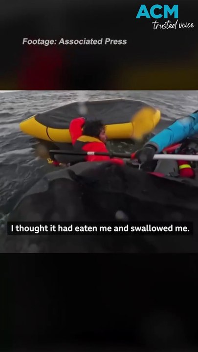 Incredible moment whale swallows kayaker whole in wild encounter