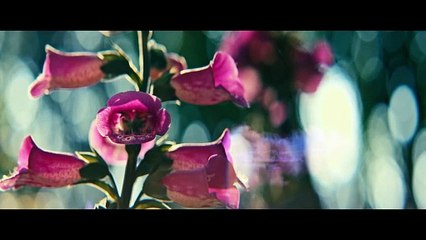 Can I Get a Witness? | movie | 2024 | Official Featurette