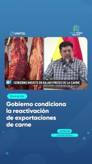 Gobierno condiciona la reactivación de exportaciones de carne