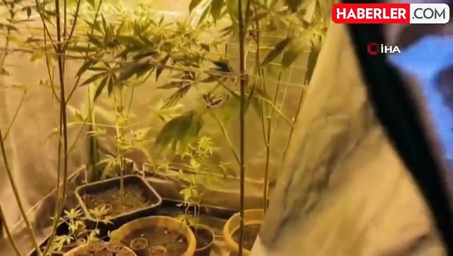 Düzce'de Uyuşturucu Operasyonu: 350 Gram Esrar ve Hint Keneviri Ele Geçirildi