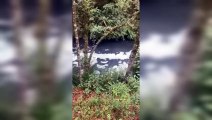 VIDEO: Contaminan río Velo de Novia en Valle de Bravo; vecinos exigen sanciones