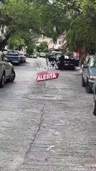 Ataque deja daños en camioneta y casa al sur de Monterrey