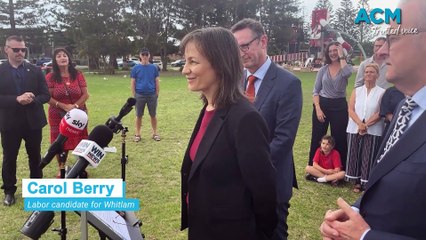 Carol Berry to replace Stephen Jones in Whitlam