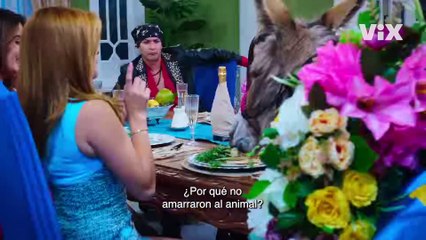 They Never Left (2017) | Official Trailer – A Comedy of Coexistence in NYC 🏙️