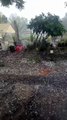 Sorprende lluvia intensa y granizada en Galeana, Nuevo León
