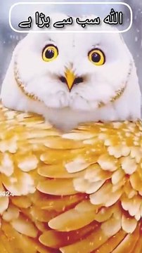 دلوں کے حال تم سے بہتر تمہارا اللّٰه جانتا ہے تمہارے خاموش سجدے اور تمہاری ان کہی باتیں اللہ کے ہاں بہت خاص مقام رکھتی ہیں🏻 حضرت عبداللہ بن عباس رَضِیَ اللہُ تَعَالٰی عَنْہُمَا سے روایت ہے، رسولُ اللہ صَلَّی اللہُ تَعَالٰی عَلَیْہِ وَاٰلِہٖ وَسَلَّمَ