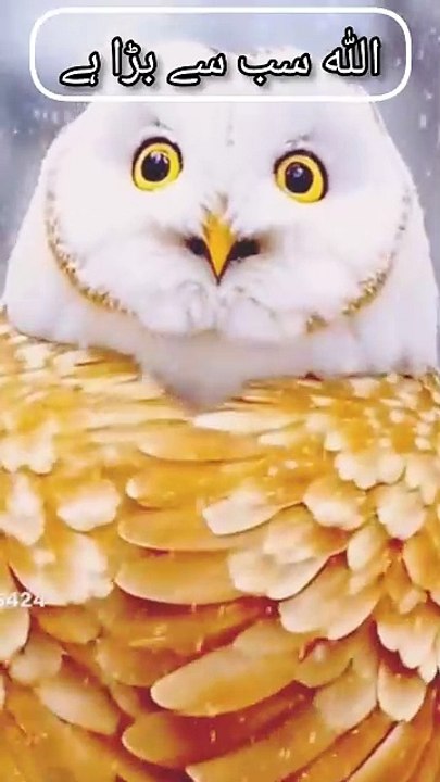 دلوں کے حال تم سے بہتر تمہارا اللّٰه جانتا ہے تمہارے خاموش سجدے اور تمہاری ان کہی باتیں اللہ کے ہاں بہت خاص مقام رکھتی ہیں🏻 حضرت عبداللہ بن عباس رَضِیَ اللہُ تَعَالٰی عَنْہُمَا سے روایت ہے، رسولُ اللہ صَلَّی اللہُ تَعَالٰی عَلَیْہِ وَاٰلِہٖ وَسَلَّمَ