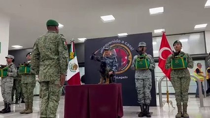 Proteo el perro rescatista es honrado y Turquía dona un cachorro a México