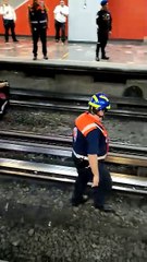 VIDEO: ¿Qué hacía una gallina en las vías del metro de la Cdmx?