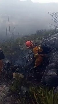 Combate Protección Civil de Nuevo León 4 incendios forestales