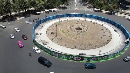 Un año sin la palma de Paseo de la Reforma: pronto llegará nuevo ahuehuete