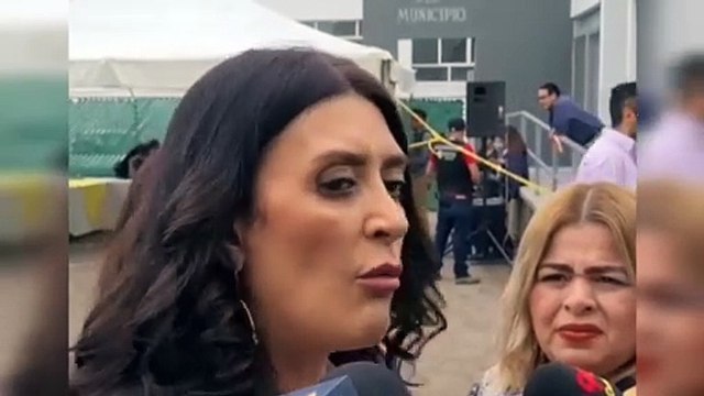 Perros y gatos callejeros ya son problema de Salud Pública al norte de Durango