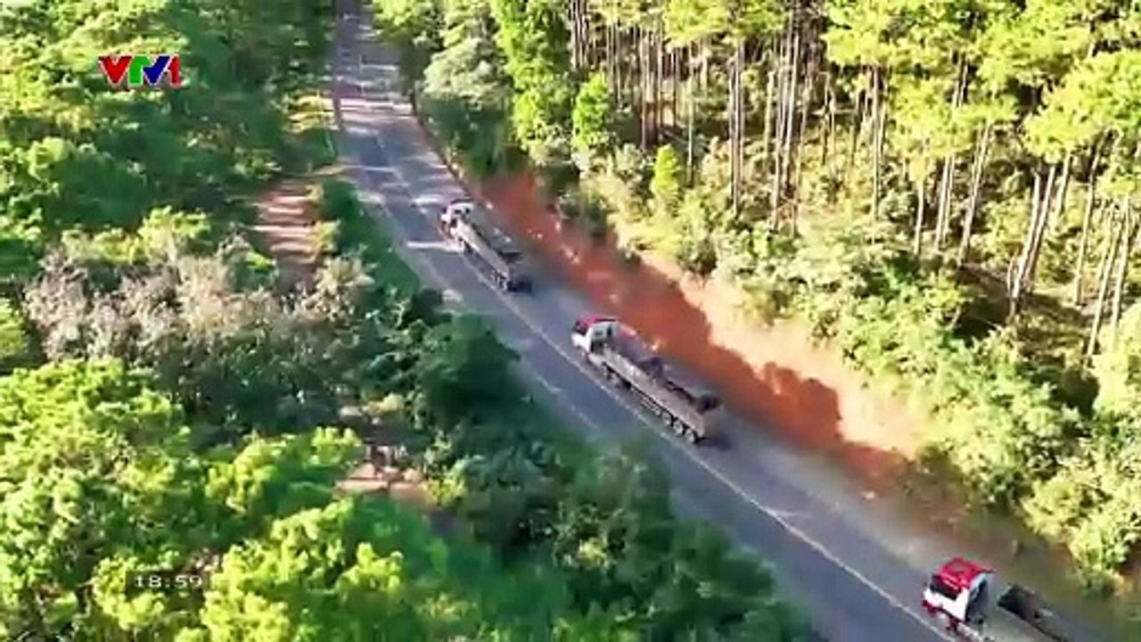 VNTV| VTV1 HOÀ SÓNG CT TẾT ẤT TỴ 2025 (19:00 - 28/1/2025)